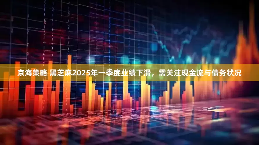 京海策略 黑芝麻2025年一季度业绩下滑，需关注现金流与债务状况