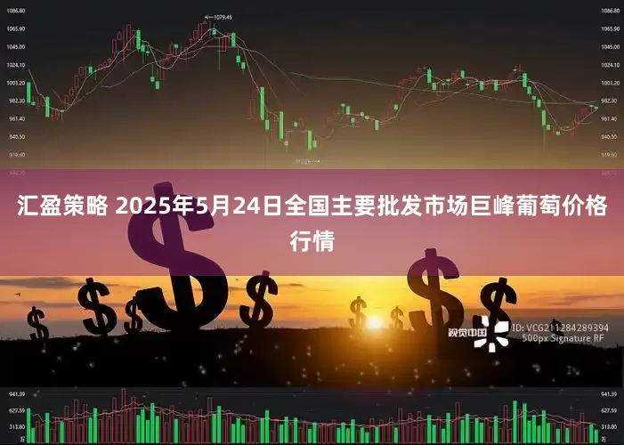 汇盈策略 2025年5月24日全国主要批发市场巨峰葡萄价格行情