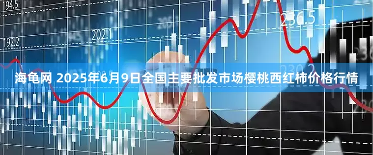海龟网 2025年6月9日全国主要批发市场樱桃西红柿价格行情